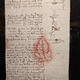 Illustration for article titled Pictures from the Reagan Library: The da Vinci Exhibit